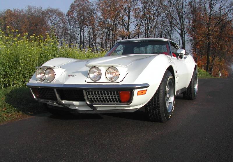 MARTINSRANCH 72 Stingray white red 